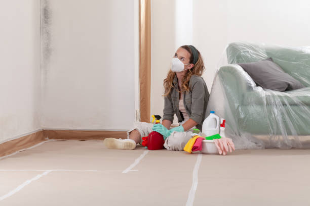 Reliable Commercial Mold Remediation contractor in Belleville, IL by Car Mold Remediation